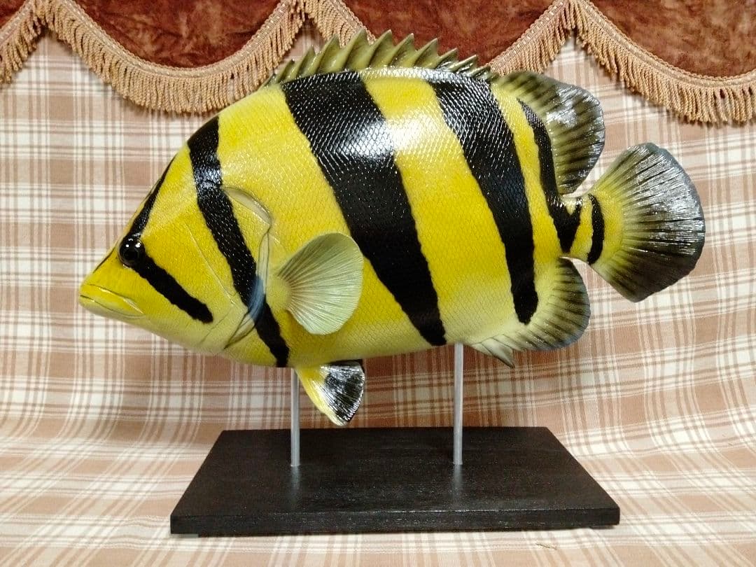 ハンドメイド　48cmダトニオ シャムタイガー　フィギュア　レプリカ　置物　魚