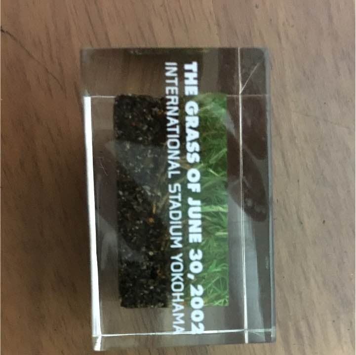 2002年W杯、決勝戦の芝！正規品！