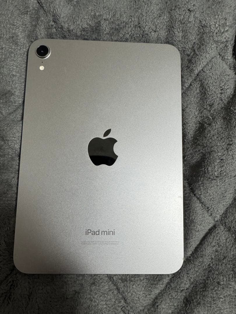 iPad mini Wi-Fiモデル256