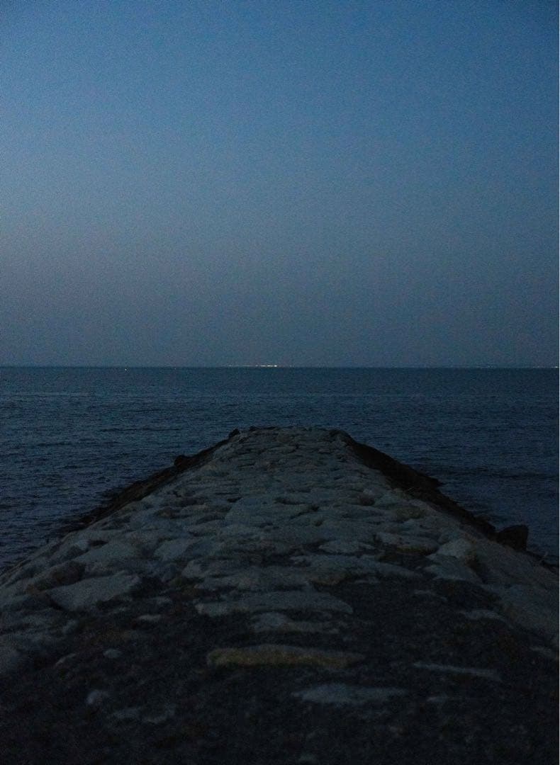 SIGMA24-70mm F2.8 DG DN Art レンズ＋ケース付き