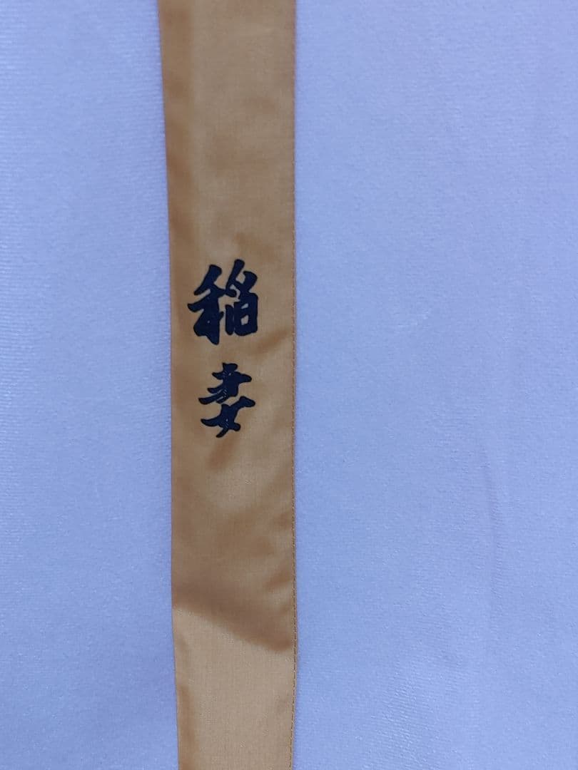 ガ*オ様 響　稲妻　へら竿