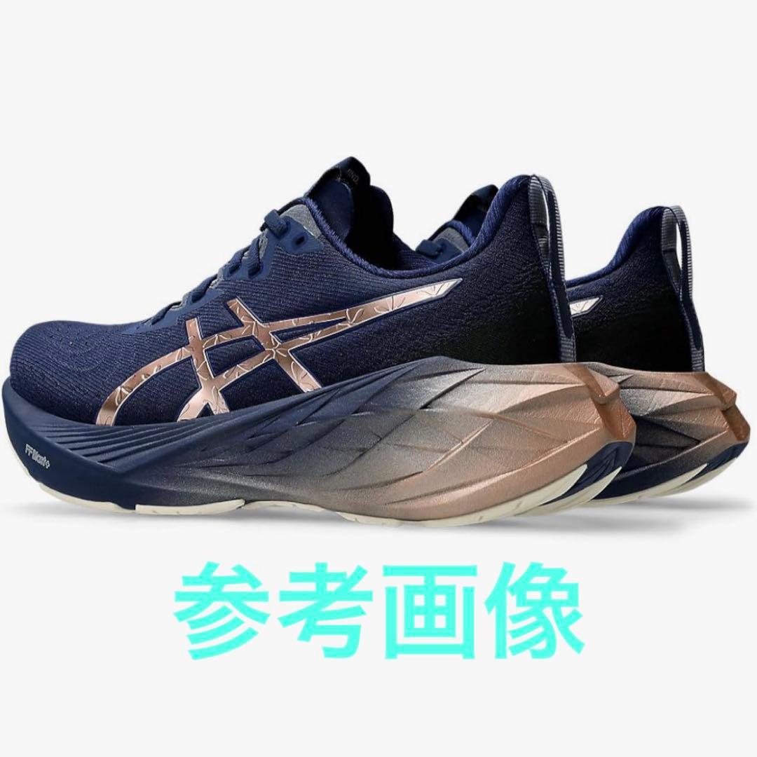 アシックスNOVABLAST4 ノヴァブラスト4 PLATINUM レディース