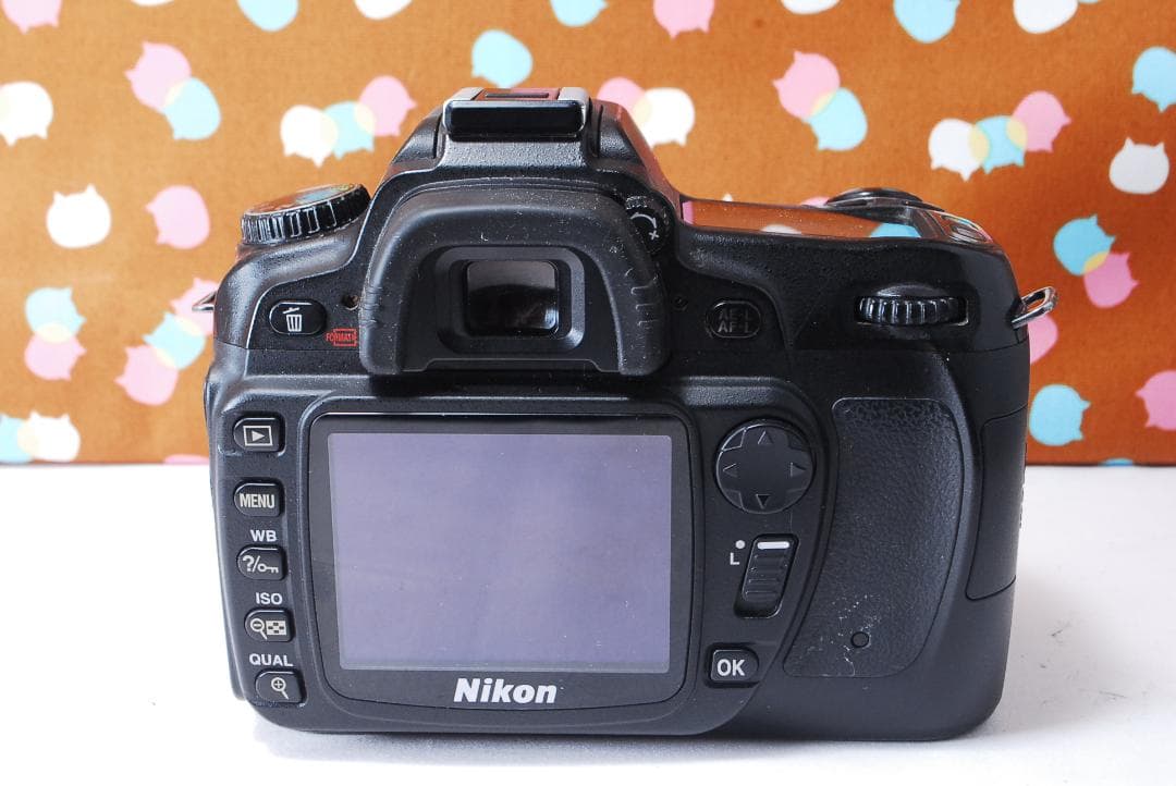 ✨届いてすぐ使える✨初心者オススメ✨Nikon D80 レンズセット