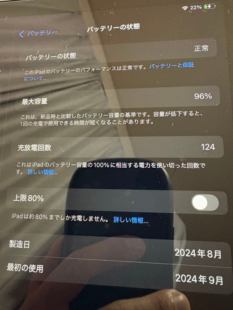 最終値下げApple iPad Air M2 11インチ256GB ケース付き