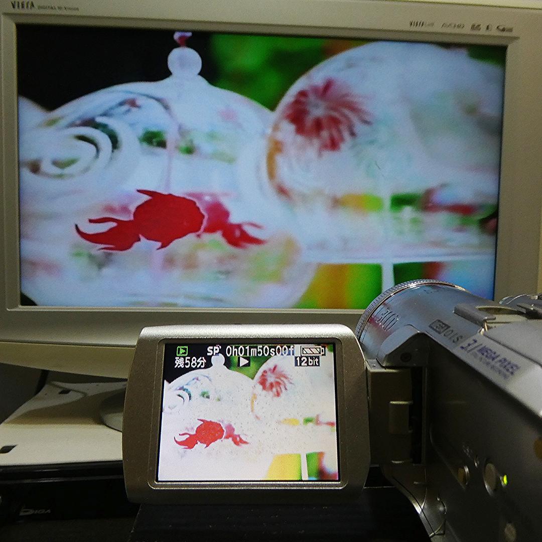 動作良好 パナソニック NV-GS250 MiniDVビデオDVDダビングに最適