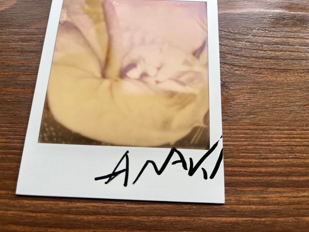 荒木経惟のポラロイド作品 1点。サイン入り、額装付き。