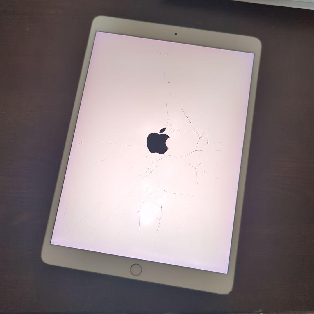 Apple iPad Pro 10.5インチモデル　256GB　ケース付き