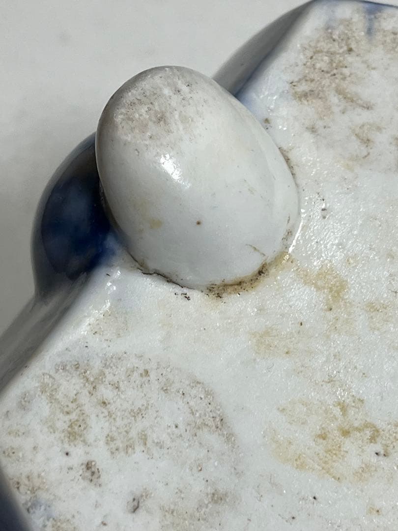 蘭鉢　盆栽鉢　植木鉢　陶芸　園芸　盆栽