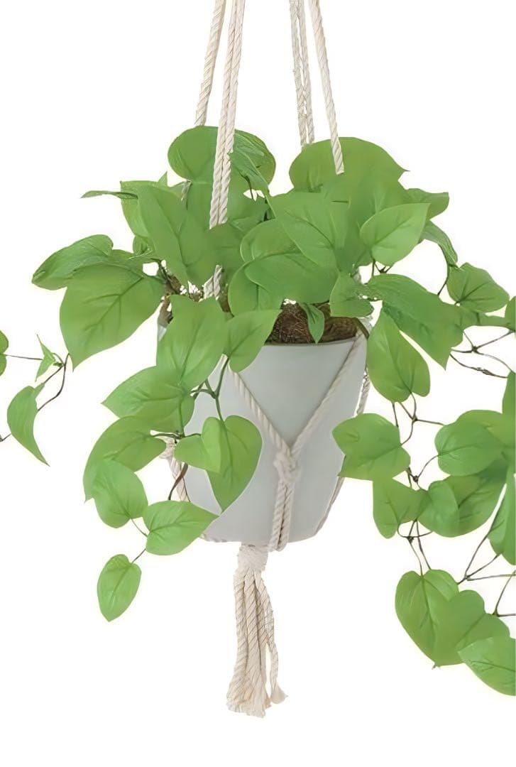 光触媒　人工観葉植物　ウォールグリーン　フェイクグリーン　壁掛けライムポトス