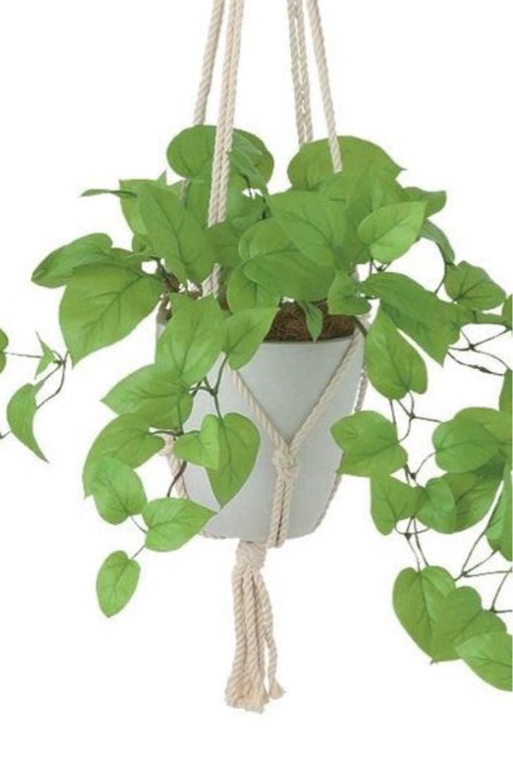 光触媒　人工観葉植物　ウォールグリーン　フェイクグリーン　壁掛けライムポトス