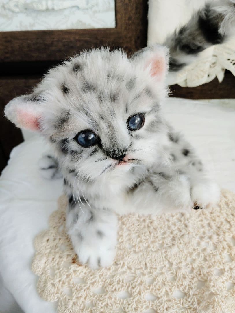 a様オーダー❤ユキヒョウ♡コウモリ♡子猫ちゃん♡アートドール♡ぬいぐるみ♡