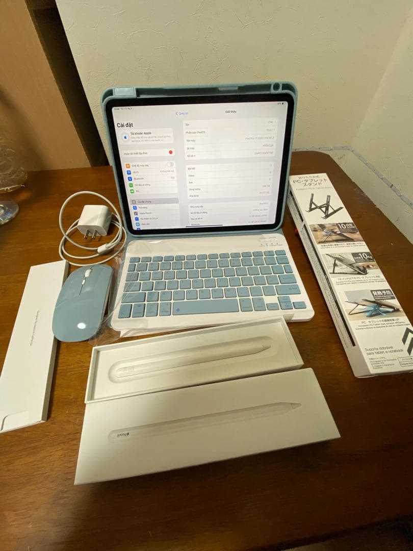 【極美品】 ipad pro 11インチ 第2世代 256GB SIM フリー