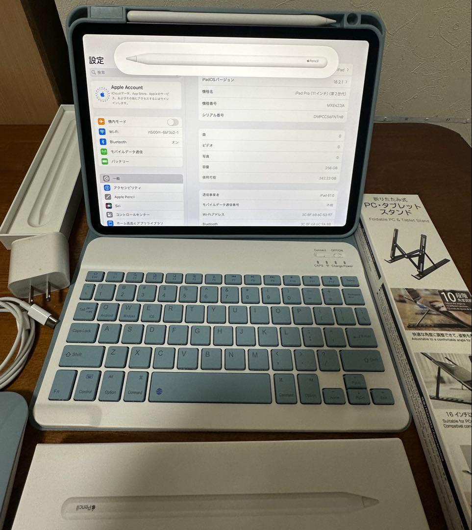 【極美品】 ipad pro 11インチ 第2世代 256GB SIM フリー