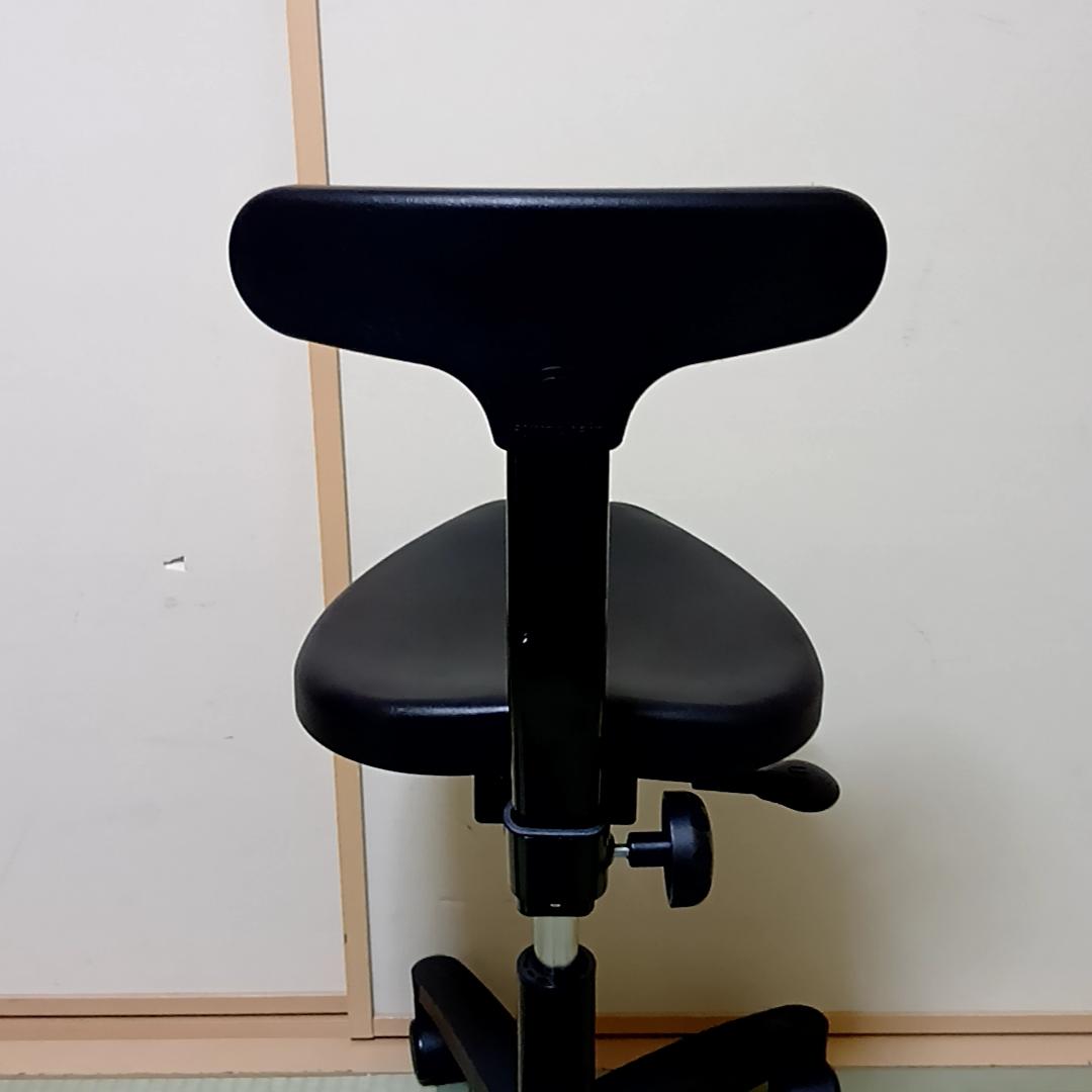 【月末特価】Ayur Chair アーユルチェアー オクトパス