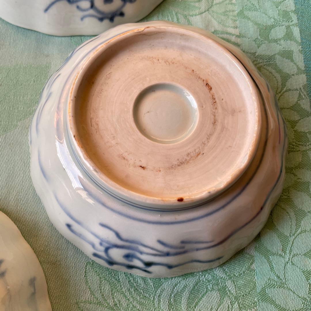 古伊万里　染付　魚　膾皿　5客