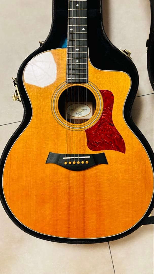 214ce DLX ES【Taylor】 アコースティックギター