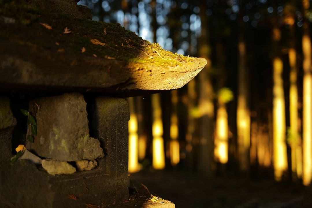 Leica Summicron  50mm F2 3rd やや難あり