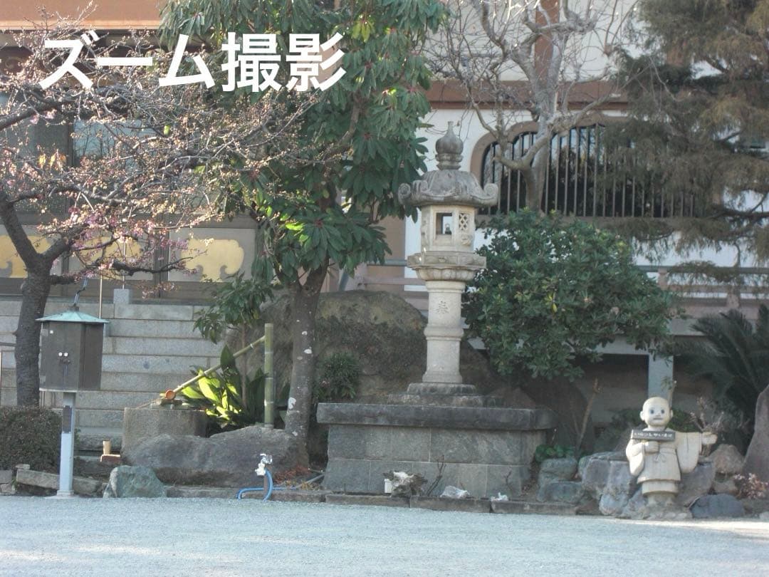 実写美⭕️外観美【動作確認済】CASIO EXILIM EX-Z100 シルバー