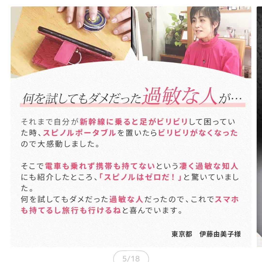 電磁波対策　スピノルルーム