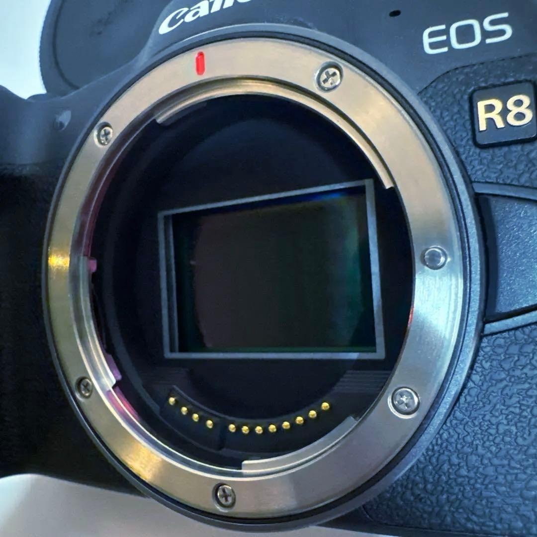 ■キャノン EOS R8ボディ■純正バッテリー2個■2025年4月購入■状態良い