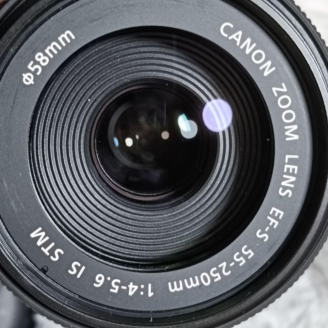 Canon EF-S55-250mm F4-5.6 IS STM 望遠レンズ