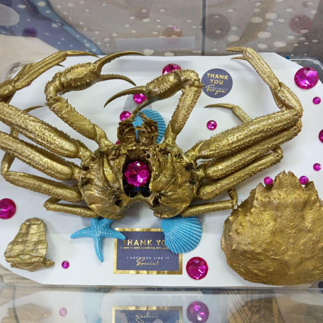 松葉蟹[セコガニ］ゴールドカラーオリジナル全長２３センチ立体リアル標本飾り置物