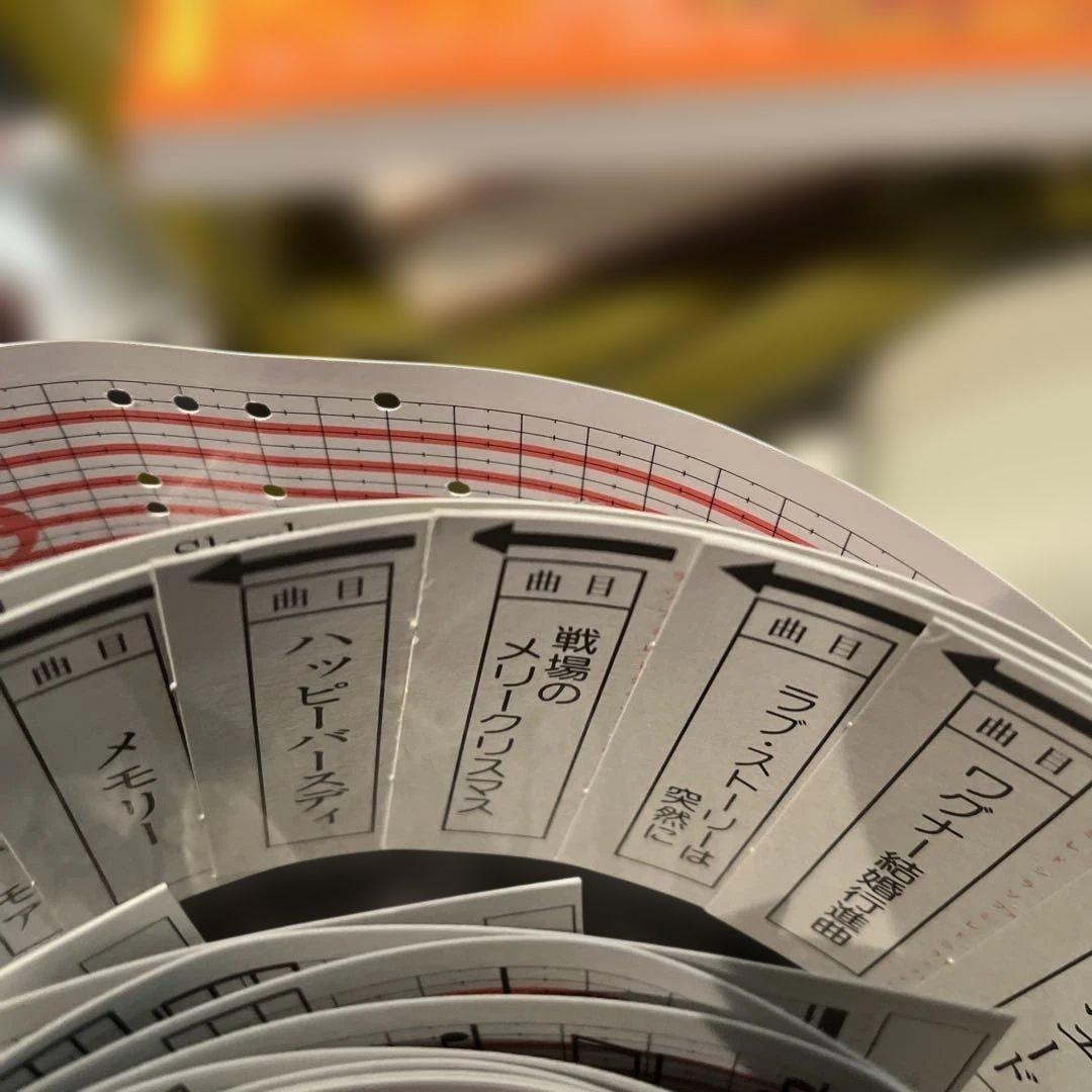 オルガニート　Organette 20 手動オルゴール