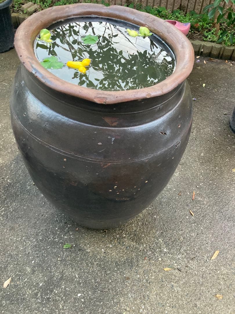 味わい深い 古い 大きな 陶器の甕 (かめ) 壺植木鉢 メダカの水鉢60センチ。