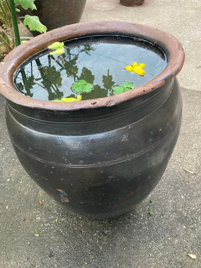 味わい深い 古い 大きな 陶器の甕 (かめ) 壺植木鉢 メダカの水鉢60センチ。