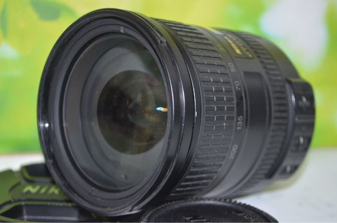 美品 ニコン Nikon AF-S DX 18-200㎜☆近距離から望遠まで！