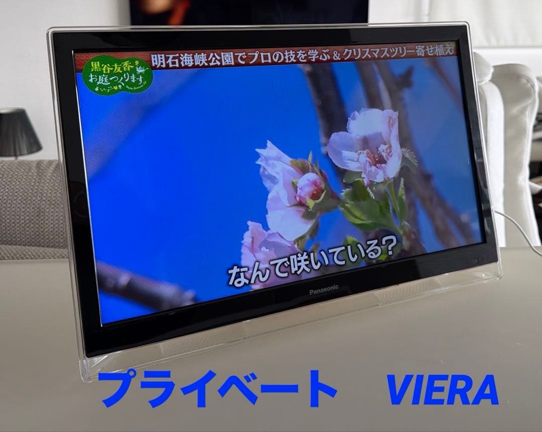 Panasonic VIERA UN-19F5D 19インチ