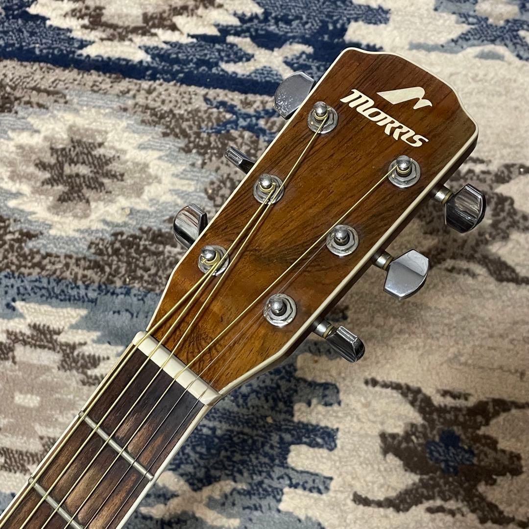 Morris M-601 日本製 ハカランダ モーリス アコギ フォークギター