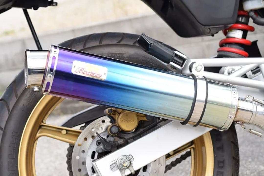 Realize ホンダ VTR250 Aria TI スラッシュTypeS