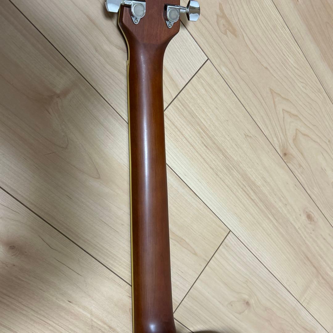 Aria エレクトリックアコースティックギター カバー、ピック付き