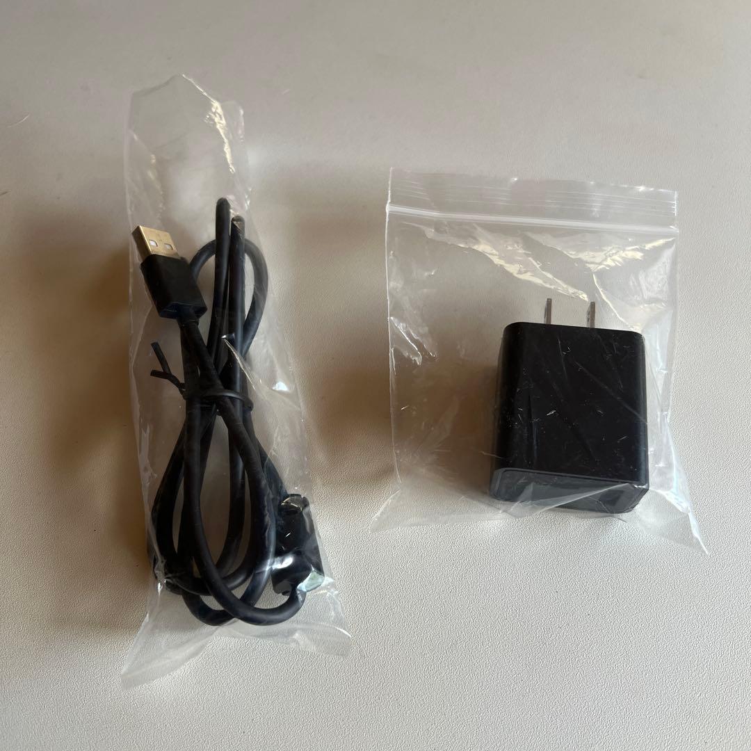 【美品】ポメラ DM250（32GB SDカード付き）