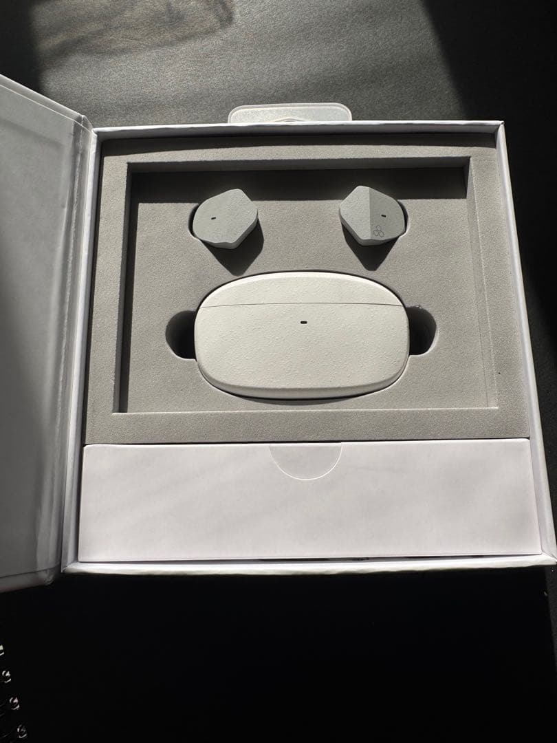 final ZE3000 for ASMR 完全ワイヤレスイヤフォン