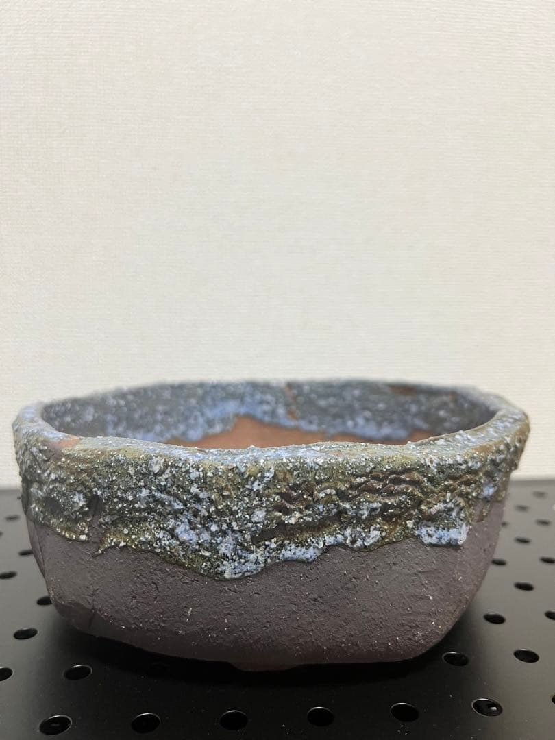 陶器鉢セット　塊根植物　浅鉢　深鉢