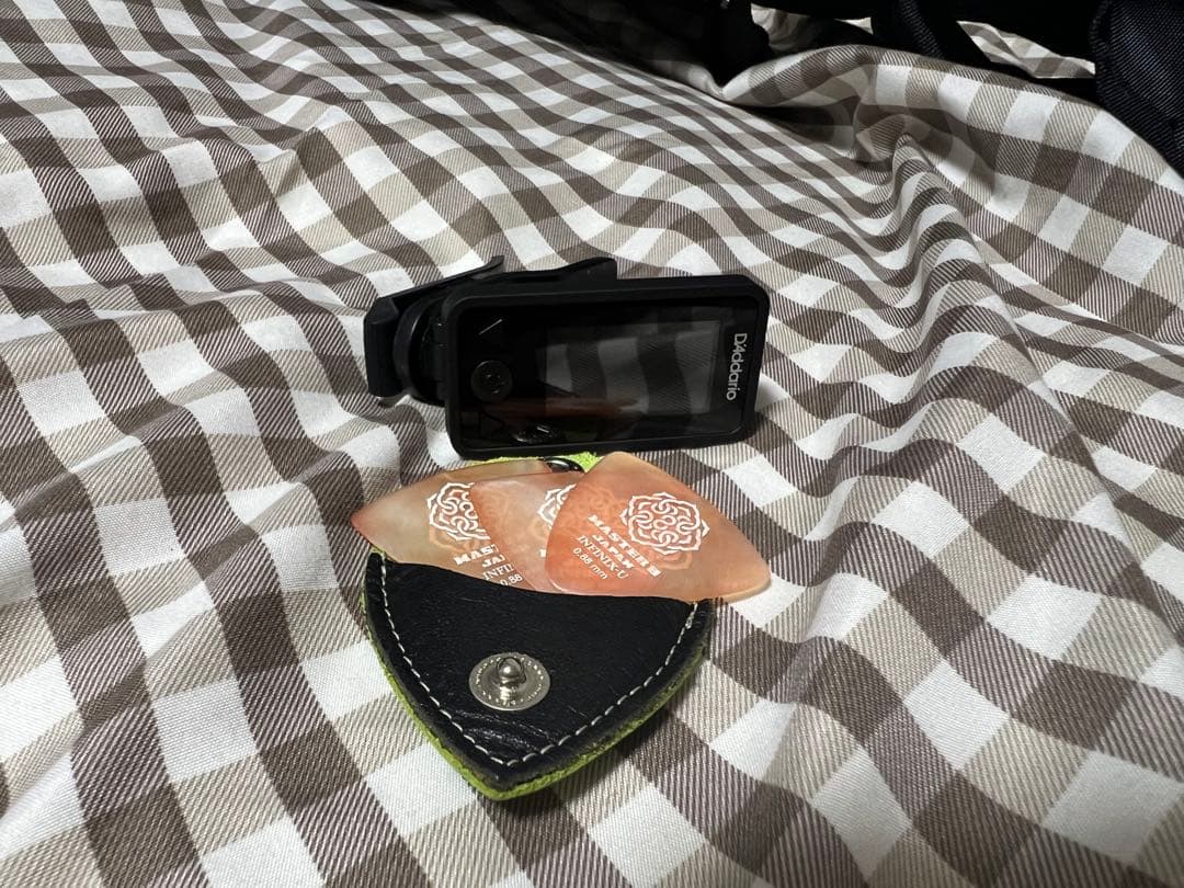 SX SS760E アコースティックギター　エレアコ