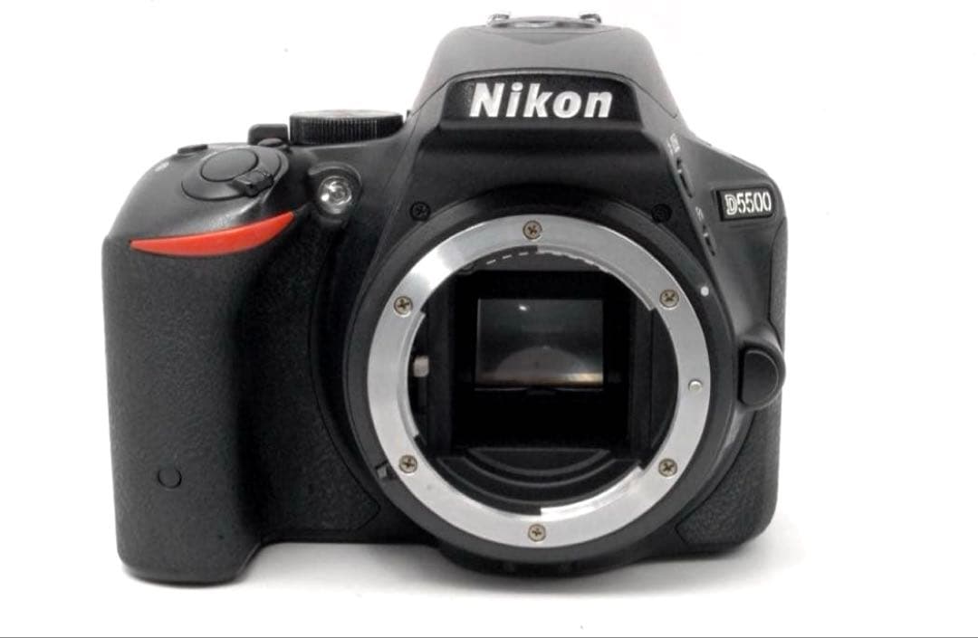 ✨高画質✨Nikon D5500 すぐスマホに送れる Wi-Fi搭載 動画撮影も