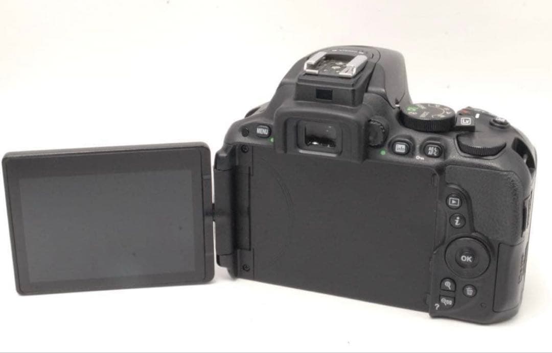 ✨高画質✨Nikon D5500 すぐスマホに送れる Wi-Fi搭載 動画撮影も
