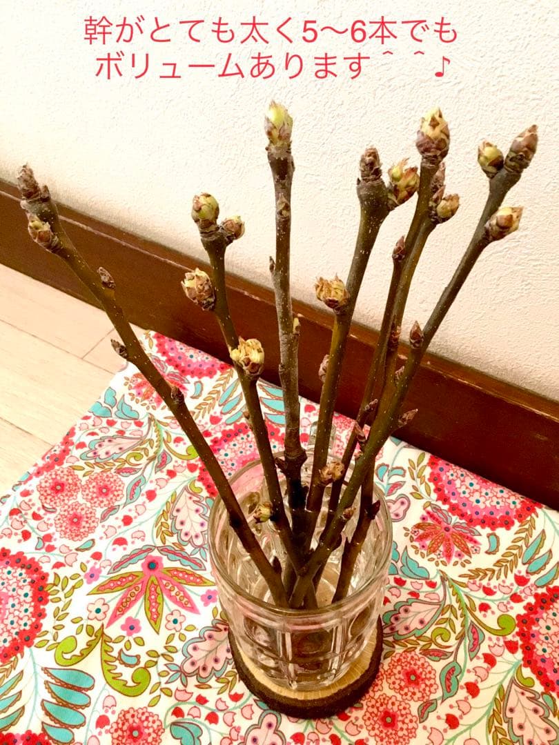 【梨のお花＊梨のつぼみの枝＊切り花】真っ白い可憐な可愛いお花＊里山育ち＊自然農法