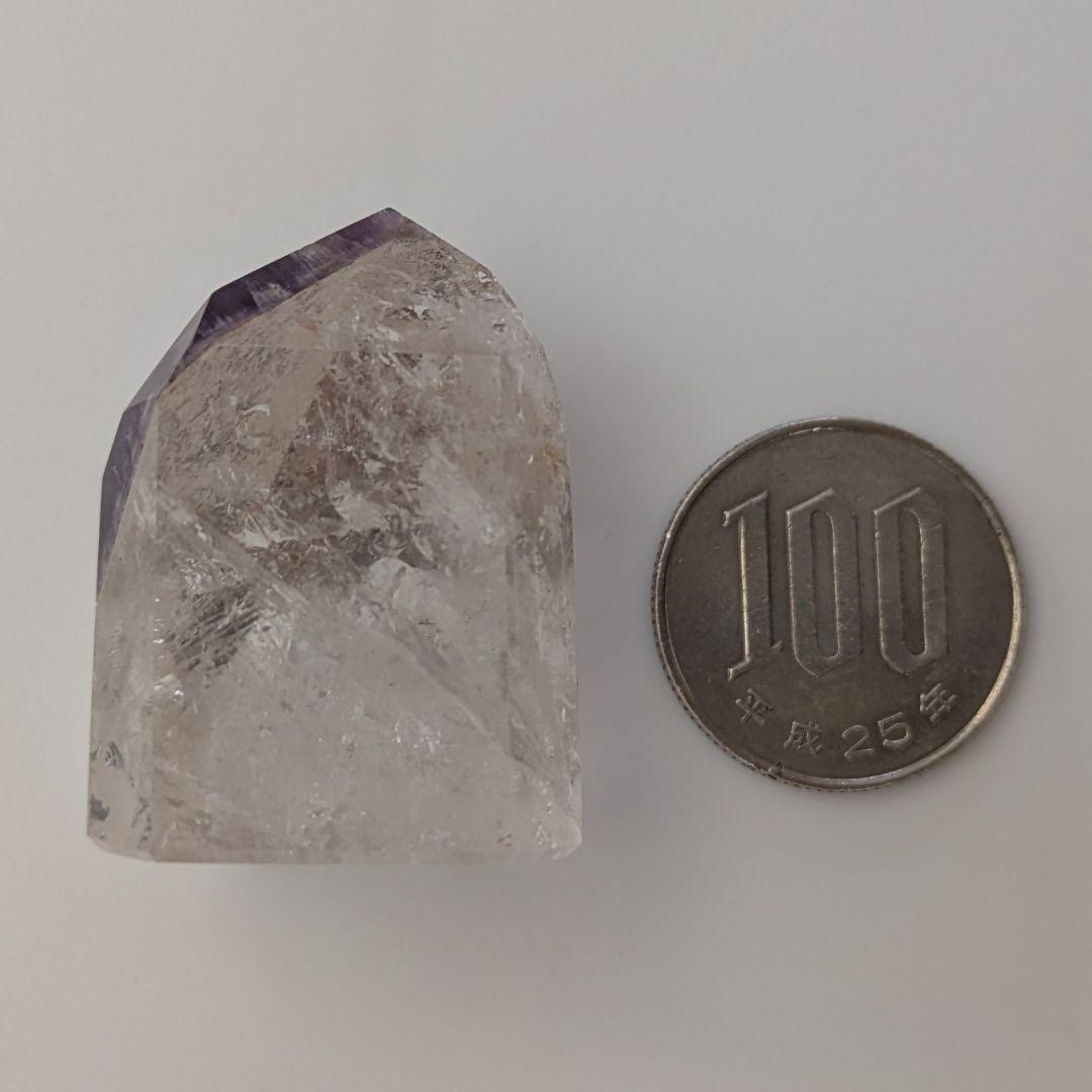 希少☆超高品質☆ドリームコートレムリアン