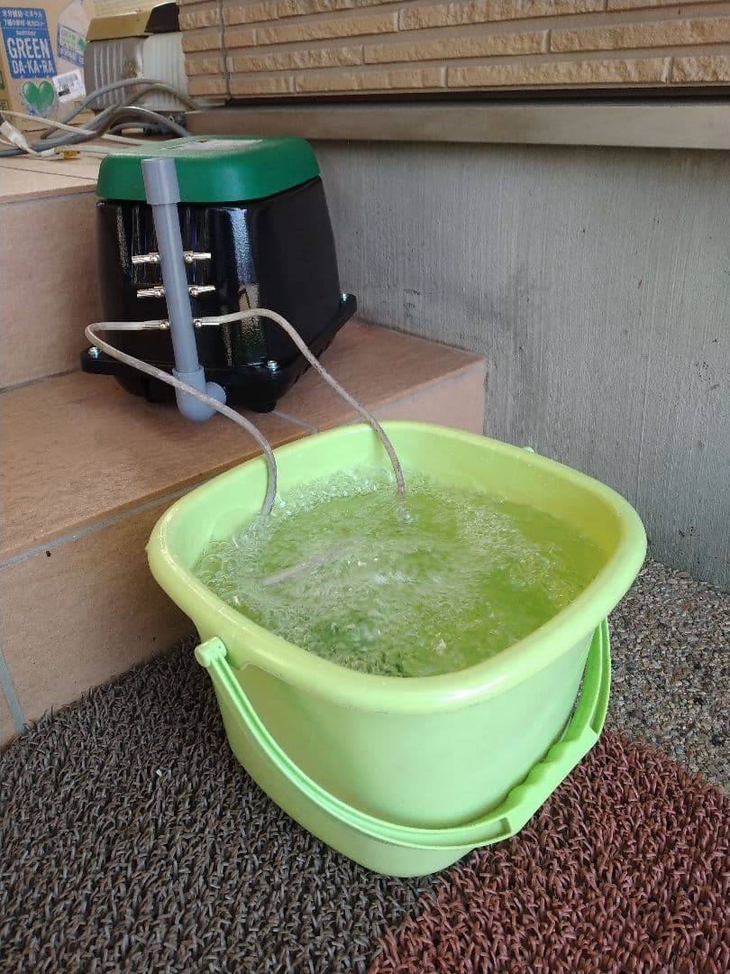 【強力//100L//キョーリン（KHP-100）】エアポンプ　ブロワー　浄化槽