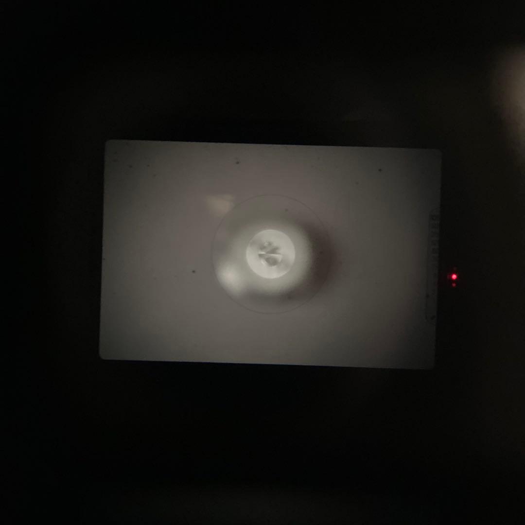 NIKON FG フィルムカメラ 一眼レフ