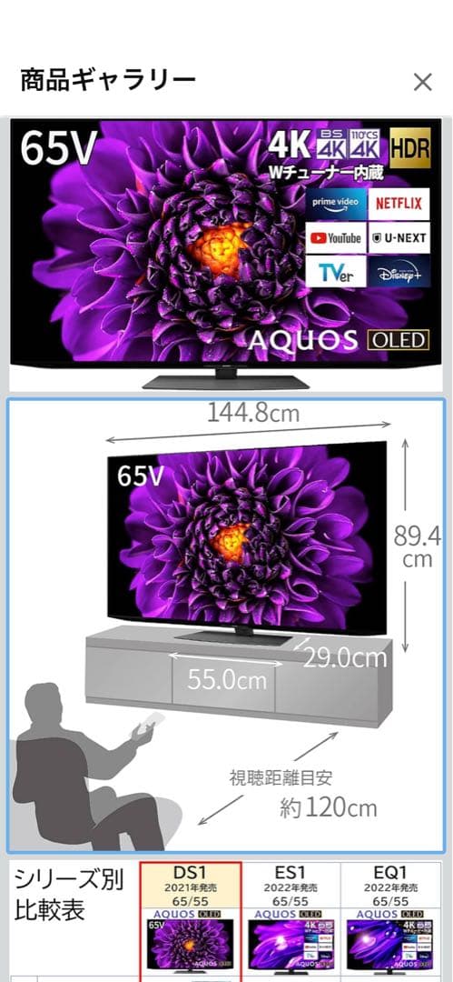 シャープ4K有機ELテレビ「AQUOS OLED 4T-C65DS1」2021年