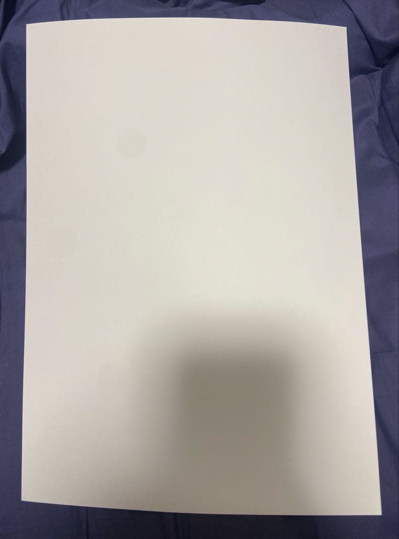 A4 サイズ ポスター 10