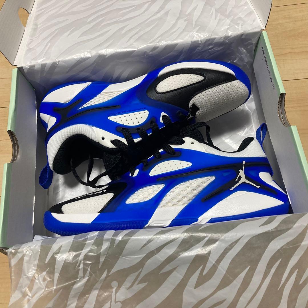 【新品】ジョーダン エアー シリーズ PF 25cm バッシュ