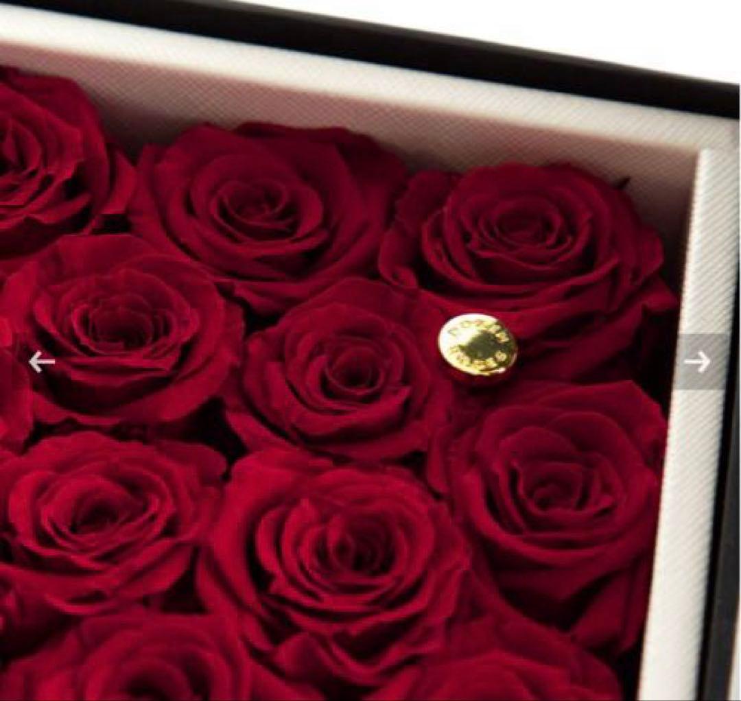 アモローサ　ダーズンローズドゥロアー　ラグジュアリー ブリザード 薔薇 レッド