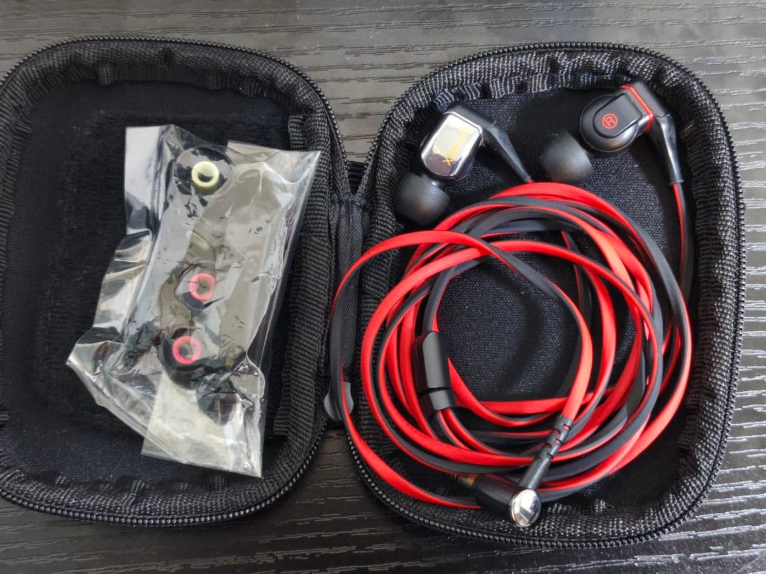 SONY ソニー XBA-H1 有線イヤホン