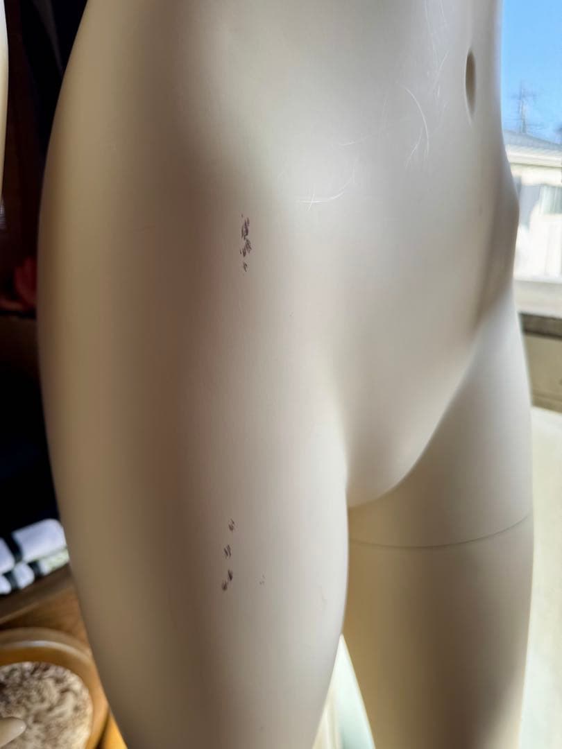 イオンモール名取まで取りに来れる方！全身タイプの女性形トルソー・マネキン人形